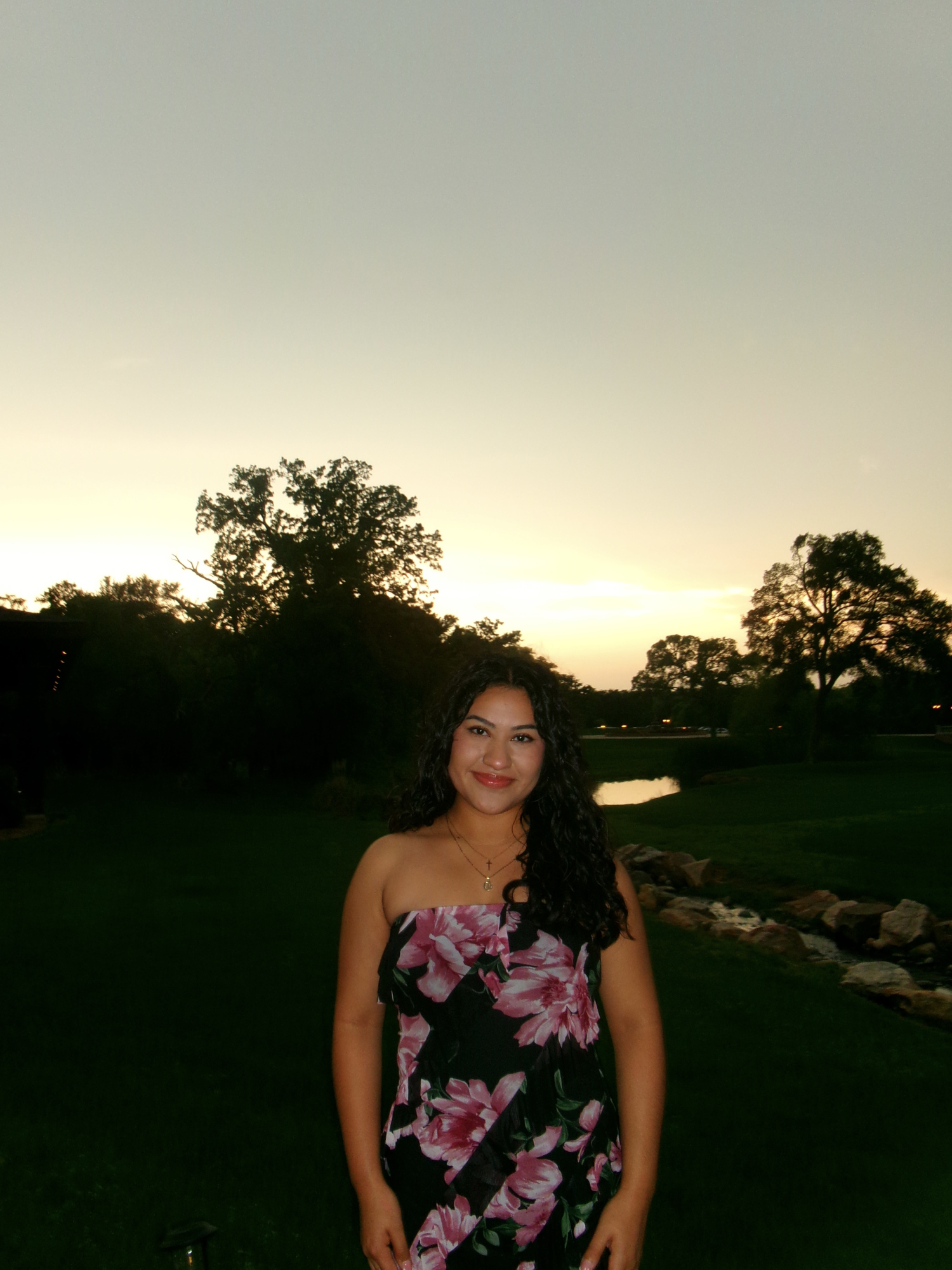 UNT Eagle